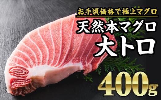 【ふるさと納税】天然本マグロ 大トロ 　大満足400g　CH