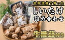 【ふるさと納税】椎茸づくし!しいたけ詰め合わせセット FA-4