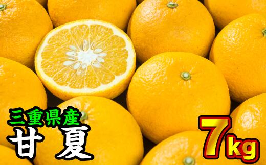 【ふるさと納税】三重県産 サンフルーツ 甘夏 7kg【出荷目安：3月中旬〜4月下旬】 II-41