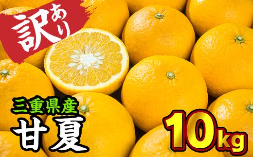 [訳あり]三重県産 サンフルーツ(甘夏) 10kg[出荷目安:3月中旬〜4月下旬]