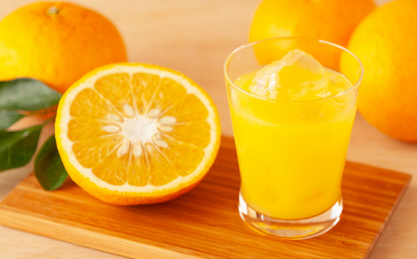 三重県尾鷲市の画像3