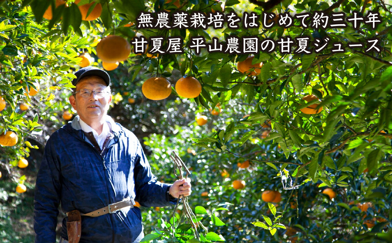 三重県尾鷲市の画像2