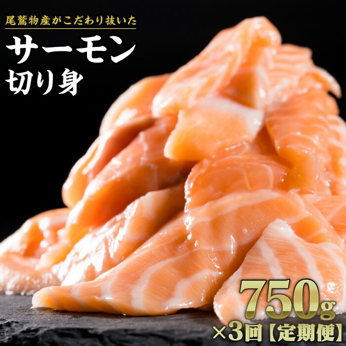 [定期便3回]生食用サーモン切り落し 大満足750gセット