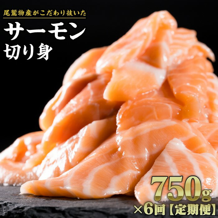 【ふるさと納税】【定期便6回】生食用サーモン切り落し 大満足750gセット OB-27