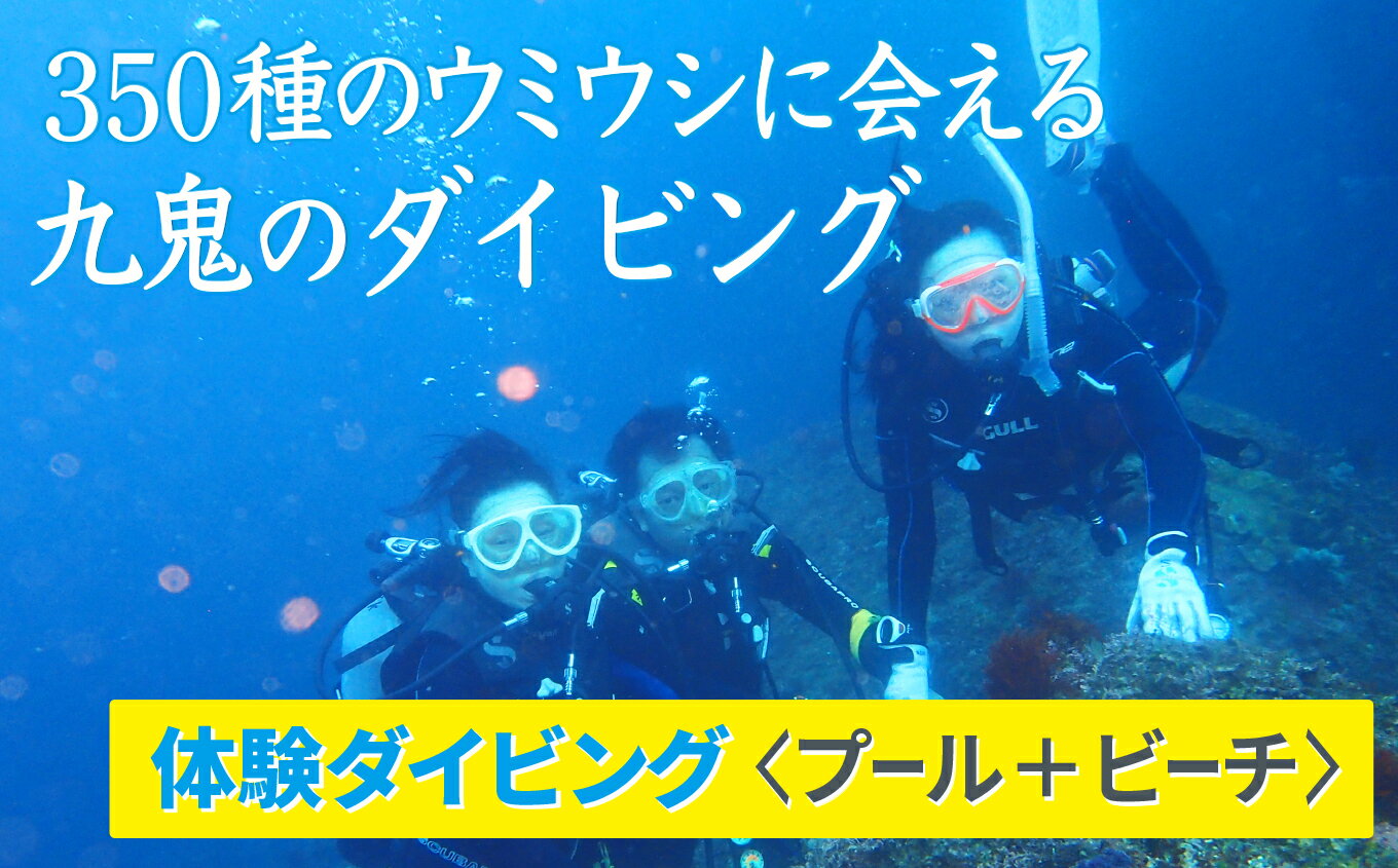 49位! 口コミ数「0件」評価「0」350種の美しい ウミウシ が魅力 【 体験 ダイビング プール ＋ ビーチ】 オールシーズン 海 ツアー マリンスポーツ 三重県 尾鷲市 ･･･ 