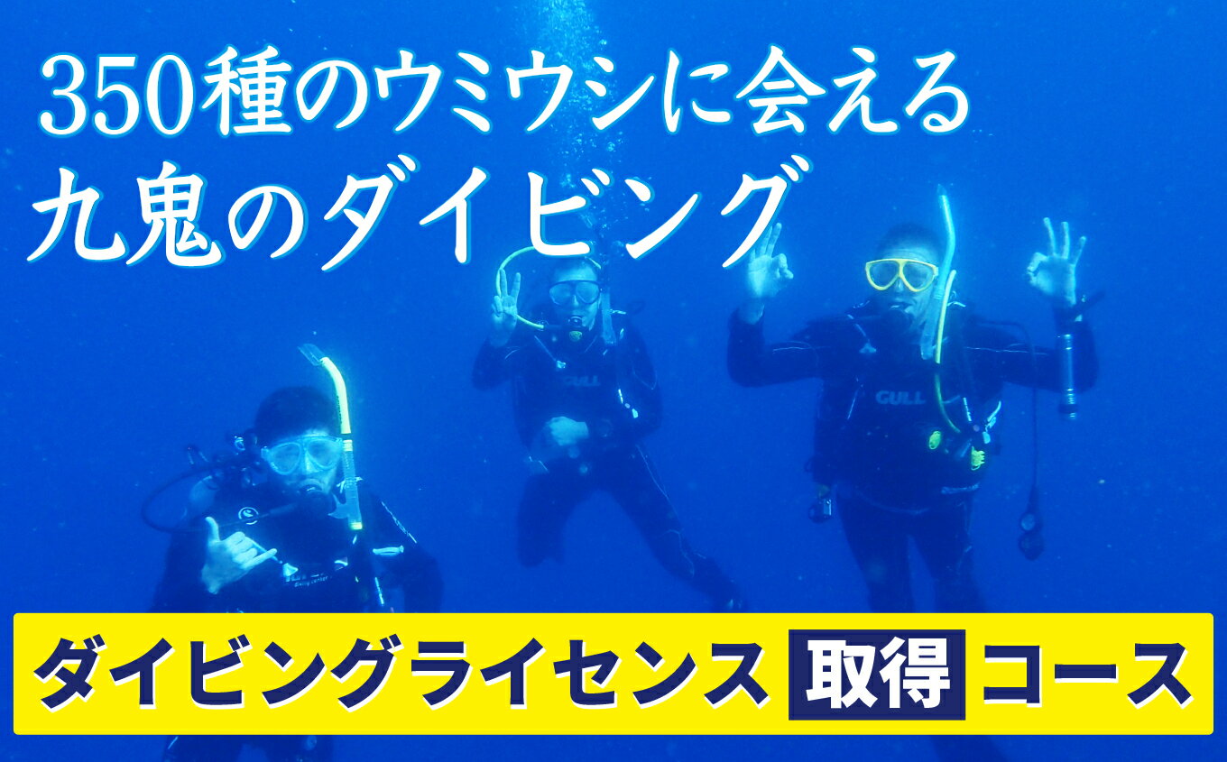 【ふるさと納税】350種の美しい ウミウシ が魅力 【 ダイビングライセンス 取得 コース】 オールシー...