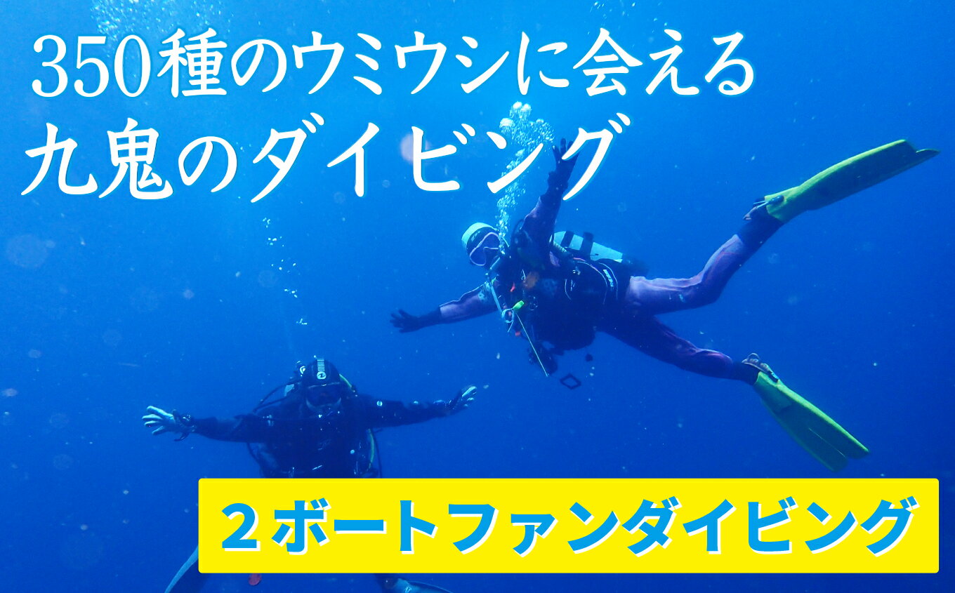 350種の美しい ウミウシ が魅力 [ 2ボートファンダイビング] オールシーズン 海 ツアー マリンスポーツ 三重県 尾鷲市 九鬼 DI-8