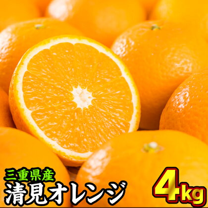 三重県産　清見オレンジ（きよみ） 4kg【出荷目安：3月中旬〜4月中旬】　II-53