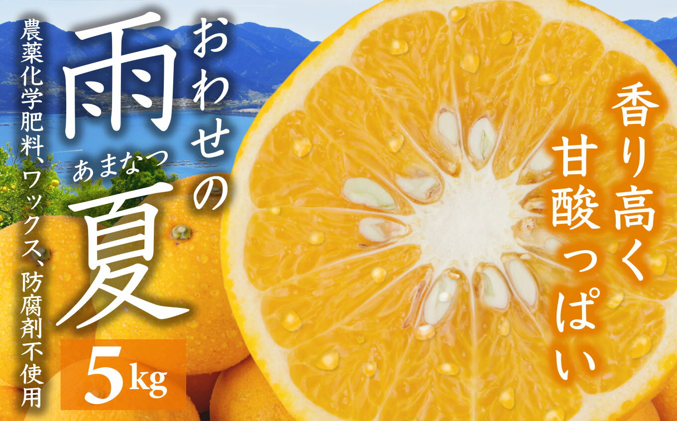 期間限定 おわせの雨夏(あまなつ) 5kg 無農薬 ワックス・防腐剤不使用 木成り 完熟 甘夏 ギフト 贈答 日用 でも使える 三重 尾鷲 の 柑橘 特産品 (4月から順次発送)