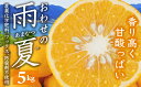 【ふるさと納税】期間限定 おわせの雨夏（あまなつ） 5kg 無農薬 ワックス 防腐剤不使用 木成り 完熟 甘夏 ギフト 贈答 日用 でも使える 三重 尾鷲 の 柑橘 特産品 （4月から順次発送） TK-10