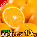 【ふるさと納税】【規格外】三重県産 清見オレンジ（きよみ） 10kg【出荷目安：3月中旬〜5月上旬】 II-55