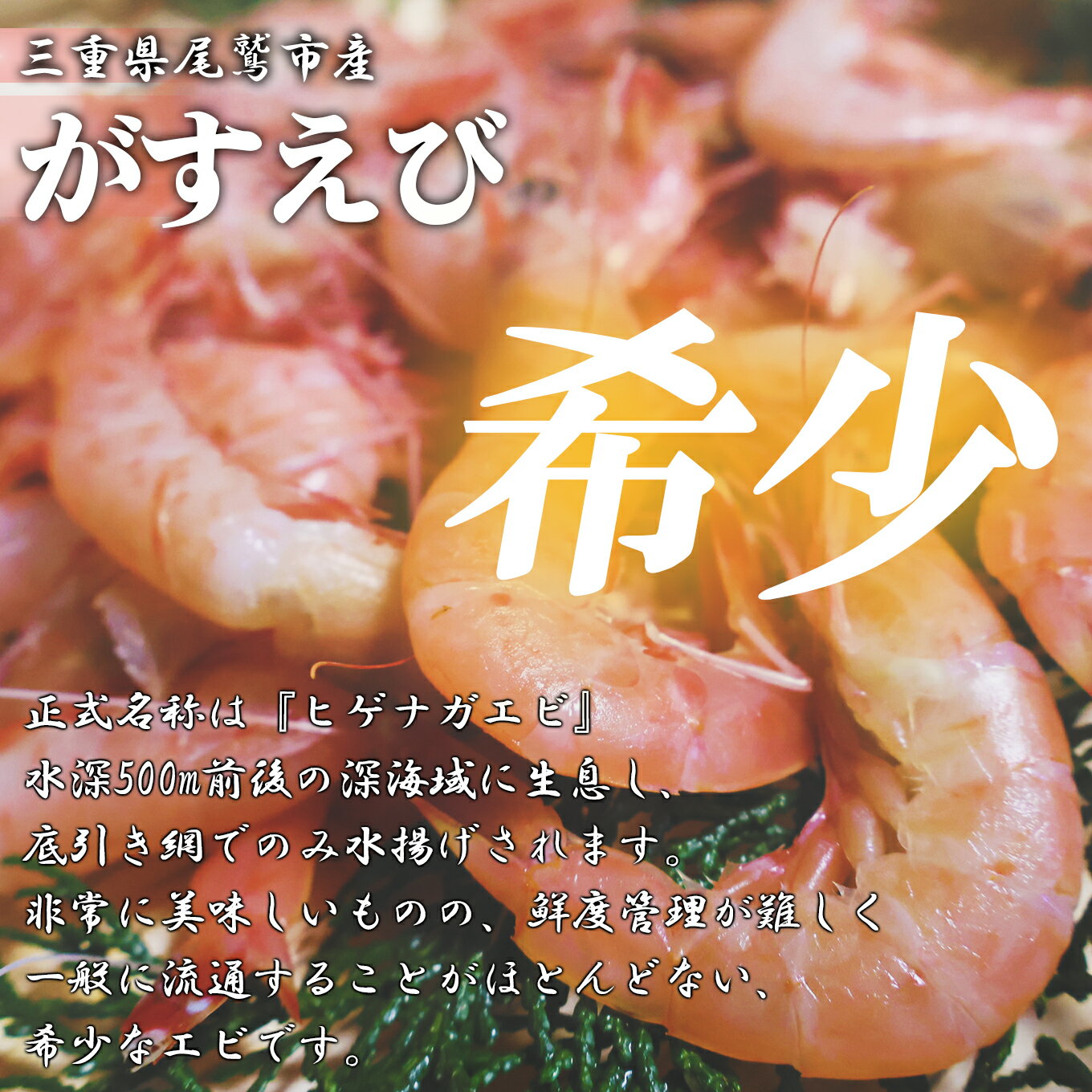 三重県尾鷲市の画像2