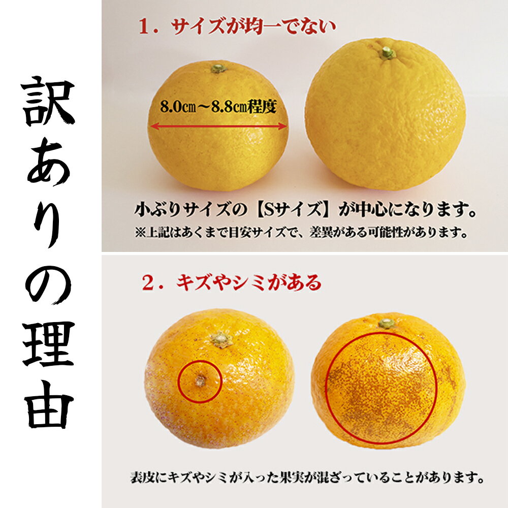 三重県尾鷲市の画像2