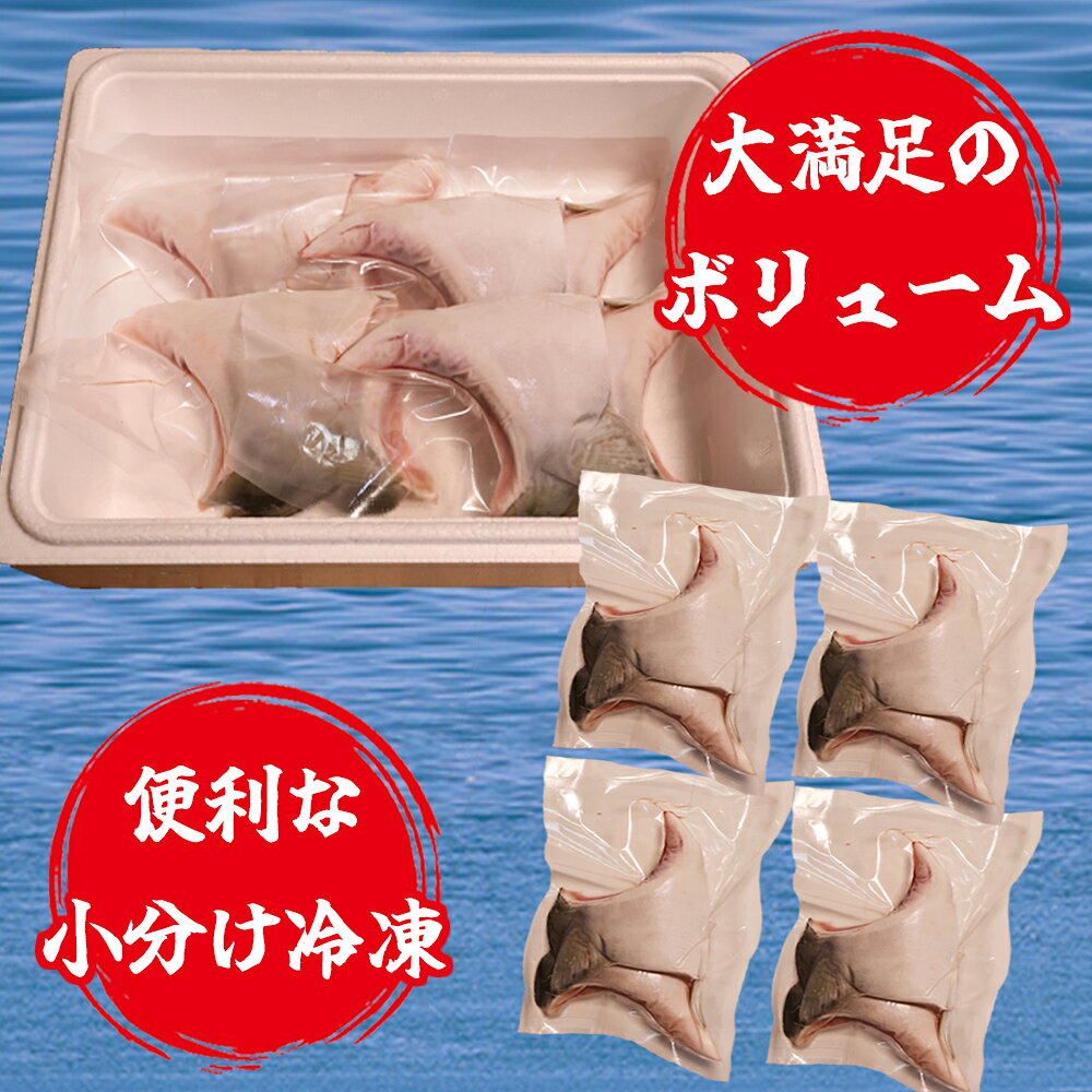 三重県尾鷲市の画像2