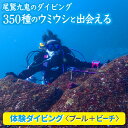 【ふるさと納税】350種の美しい ウミウシ 、多様な生態系が魅力 【 体験ダイビング プール + ビーチ】 ワイド やソフトコーラル も 人気 三重県 尾鷲市 九鬼 の ダイビング 通年 オールシーズン DI-12