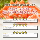 三重県尾鷲市の画像2