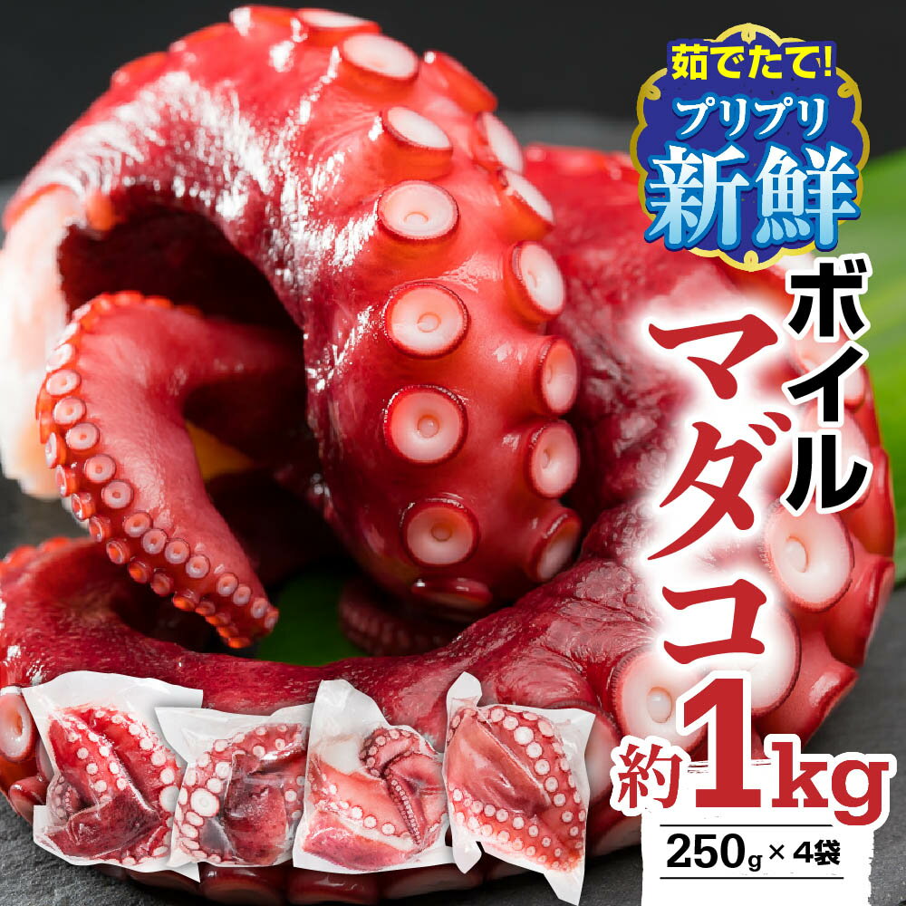 【ふるさと納税】 【冷蔵】ボイルマダコ 約1kg（250g × 4袋）セット（到着日時指定必須商品） 小分け ...