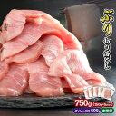 【ふるさと納税】3ヶ月以内にお届け 生食用 ブリ 切り落し 大満足750gセット(150g × 5パック)| 750g定期便3回 | ぶりしゃぶ500g | 小分け ぶり 鰤 ブリ ぶりしゃぶ しゃぶしゃぶ 魚 切り身 ランキング満足 美味しい 贈答 生食用 刺身 お刺身 魚介類 海鮮 冷凍 OB-32