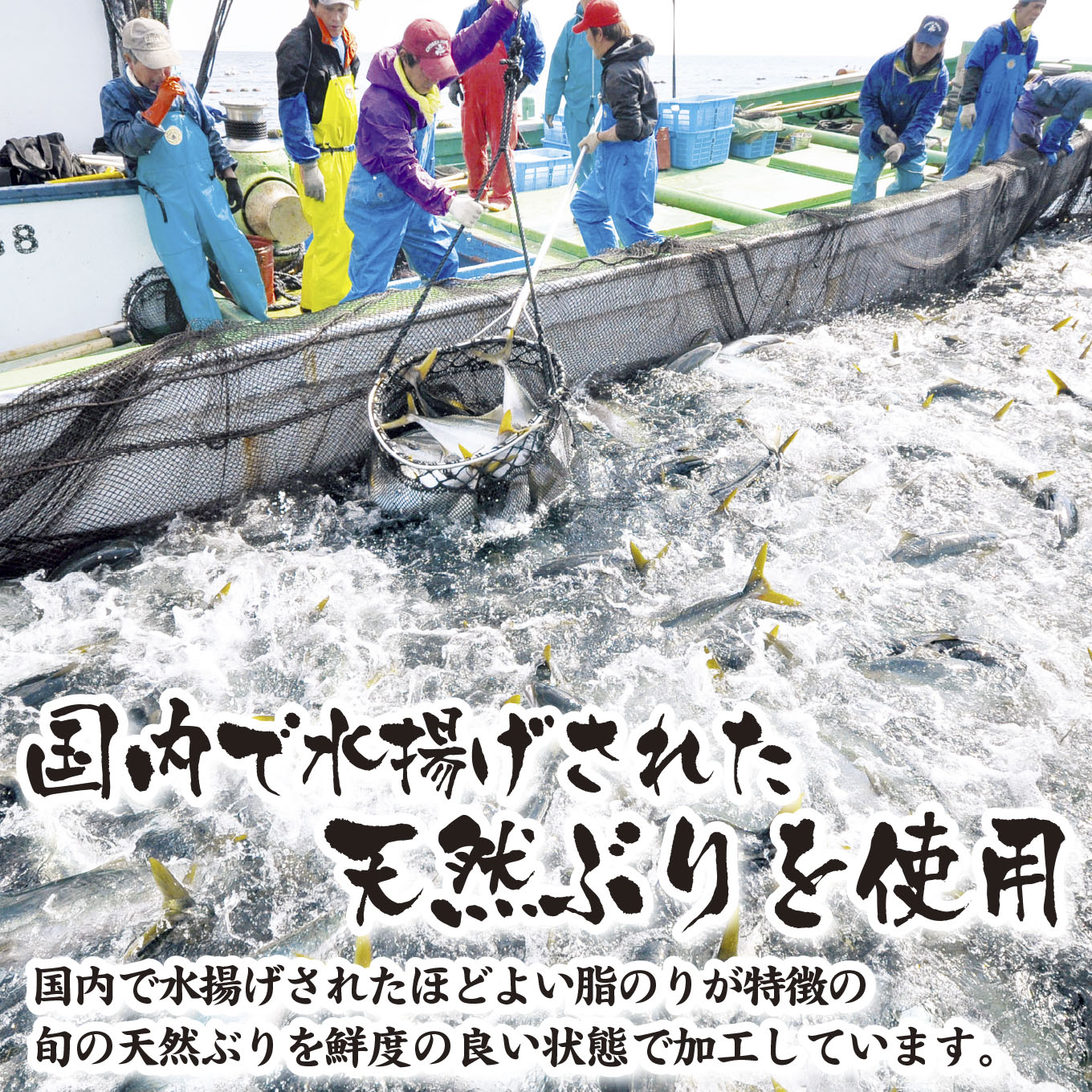 三重県尾鷲市の画像2