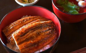 【ふるさと納税】 三重おわせ久喜 うの友(うなぎ蒲焼セット)鰻 うなぎ 小分け 小分 個包装 蒲焼 おこわ 冷凍 レンジ お手軽 ふっくら もっちり 土用 丑の日 贈答品 お祝い 記念日 お正月 正月 加工品 惣菜 レトルト 魚介類 米 三重県 尾鷲市 SH-23