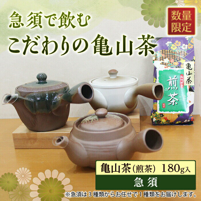 [数量限定]急須で飲むこだわりの亀山茶 180g (急須付き) 亀山茶 煎茶 緑茶 日本茶 茶葉 グリーンティー 急須 セット 詰合せ 飲み物 飲料 お茶 F23N-130