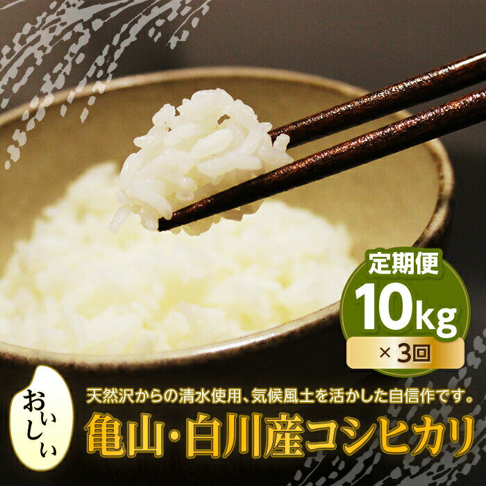 [定期便]おいしい!亀山・白川産コシヒカリ 各10kg [全3回] 定期便 3ヶ月 10kg 精米 コシヒカリ 銘柄米 ブランド米 国産米 米 お米 F23N-180