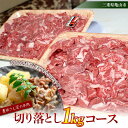 【ふるさと納税】＜豊田さん家の牛肉＞切り落とし1kgコース (500g×2) 牛肉 切り落とし 小分け 肉じゃが 牛丼 野菜炒め 牛 肉 F23N-214