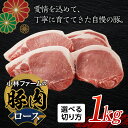 【ふるさと納税】《カツ・ステーキ/焼肉用/スライス/しゃぶしゃぶ用が選べる》小林ファームが愛情こめて育てた三元豚 ロース (1kg) 亀山ブランド 三元豚 豚肉 切り方 選べる カツ ステーキ 焼肉 スライス しゃぶしゃぶ 豚 肉 小林ファーム F23N-459