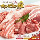 【ふるさと納税】【4回定期便】愛情こめて育てた三元豚 半頭買い(22kg)/ 三元豚 豚肉 肉 しゃぶしゃぶ 定期便 切り落とし 冷蔵 大容量 / 亀山市 / ...
