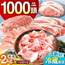 【ふるさと納税】【選べる切り方】 ええやんさくらポーク 小林ファーム 豚肉 モモ 2kg / 三元豚 肉 豚肉 豚 モモ もも しゃぶしゃぶ 切り落とし 焼肉 ...