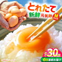 【ふるさと納税】【6回定期便】お茶と海藻で健康育ち 元気卵 180個(30個×6回) / たまご タマゴ 玉子 鶏卵 / 亀山市 / 藪本養鶏園 [AMBH00...
