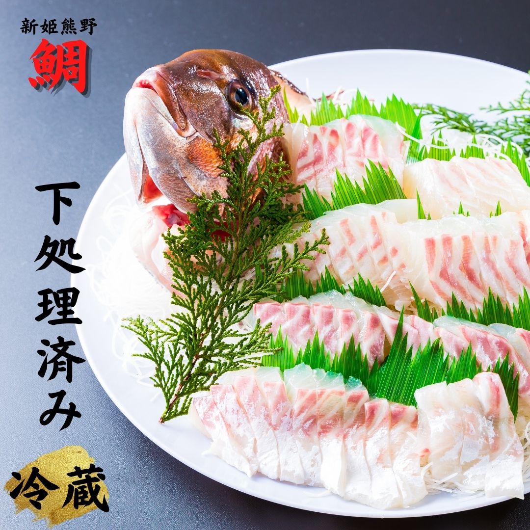 配送日指定可 新姫熊野鯛 下処理済み （冷蔵） 鯛 1匹 お刺身 塩焼き 煮つけ 三重県熊野市