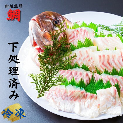 配送日指定可 新姫熊野鯛 下処理済み (冷凍) 鯛 1匹 お刺身 塩焼き 煮つけ 三重県熊野市