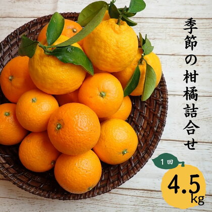 みかん 1 自然塾 季節の柑橘詰合せ 1回 旬 柑橘 フルーツ