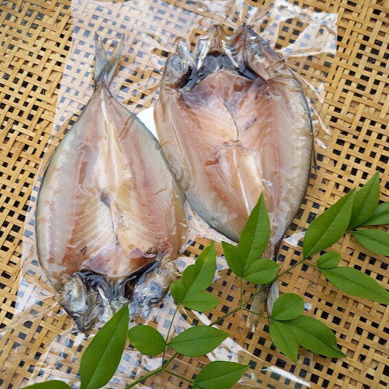 【ふるさと納税】香酸柑橘果汁が塩味を引き立てた干物 減塩干物 あじ開き