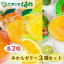 【ふるさと納税】果肉 入り 贅沢 みかん ゼリー 3種 詰め合わせ 6個 (3種×各2個) 化粧箱なし ご家庭用 スイーツ デザート おやつ なつみ なるみ 新姫 8,500円
