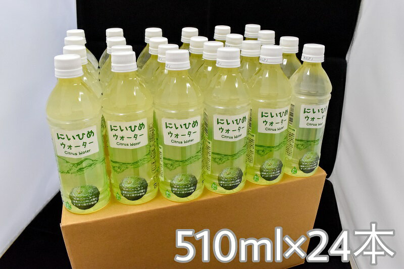 13位! 口コミ数「0件」評価「0」乾いたカラダを潤す♪ にいひめウォーター 510ml × 24本 入