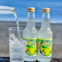 【ふるさと納税】三重県熊野市産 新姫 サイダー 250ml × 12本