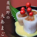 【ふるさと納税】奥熊野の大あまご 10袋(20枚)