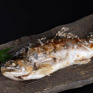 あまご炭火串焼き 1尾 天然塩使用