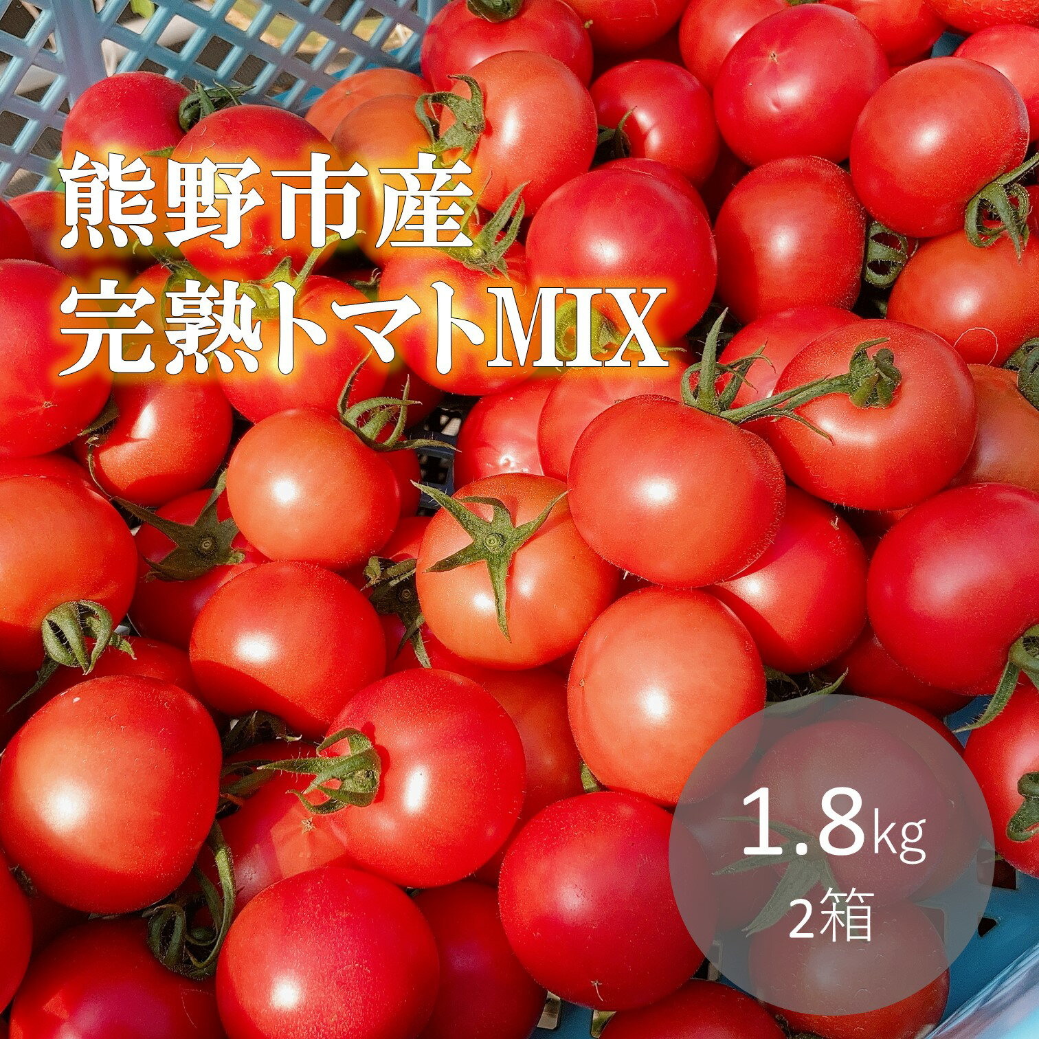 [2025年12月以降配送]熊野薬草園の トマト MIX(1.8kg×2箱) トマト ミニトマト 完熟トマト おすすめトマト お楽しみ 甘い 予約 野菜 冬限定 熊野市