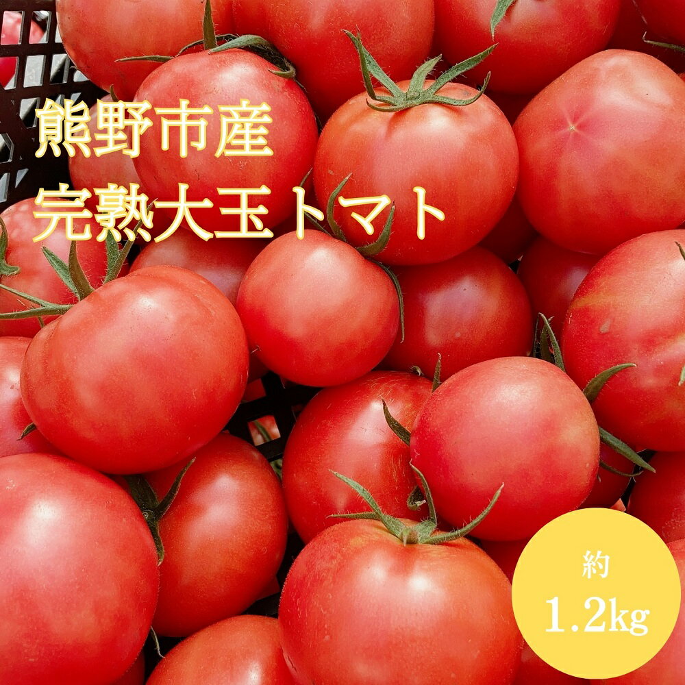 【ふるさと納税】【2025年12月以降配送】熊野薬草園の 大玉トマト(1.2kg)トマト 完熟トマト 甘い 大きい 野菜 果肉が厚い 甘酸っぱい 甘い 冬限定 熊野市