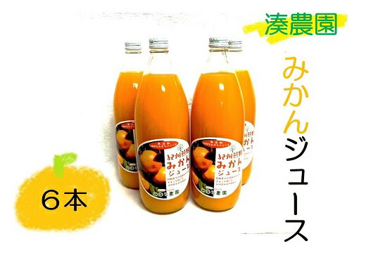 【ふるさと納税】 みかんジュース 湊農園のみかん搾ったまんま！【紀州熊野みかんジュース】1000ml×6本 段ボール箱