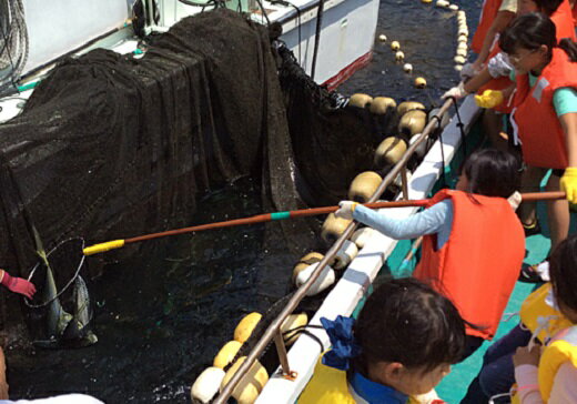 【ふるさと納税】魚料理が自慢 「民宿はまけん」 ペア宿泊券 1泊2食 定置網漁体験付