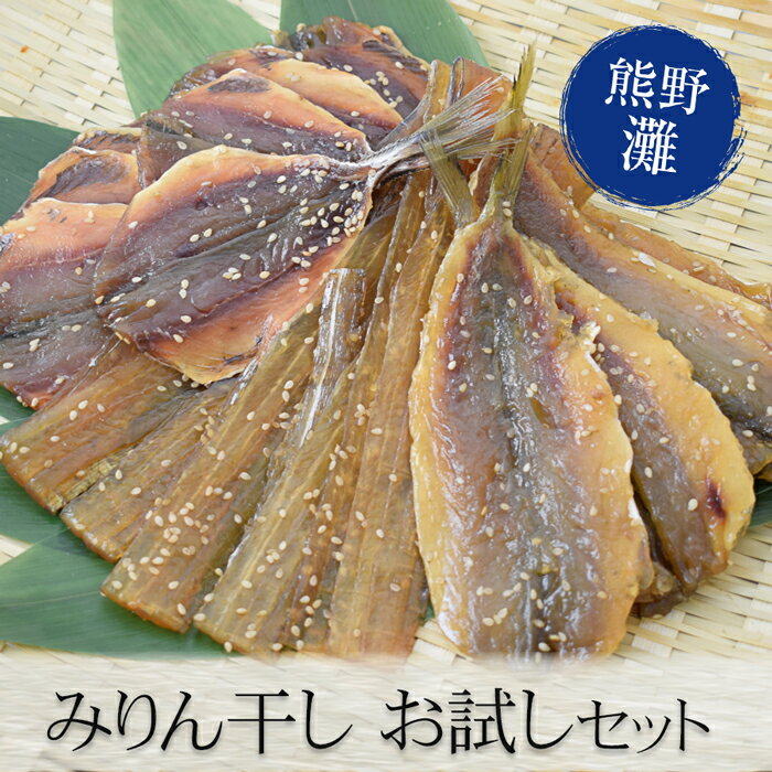 【ふるさと納税】 みりん干し 干物 あじみりん 太刀魚...