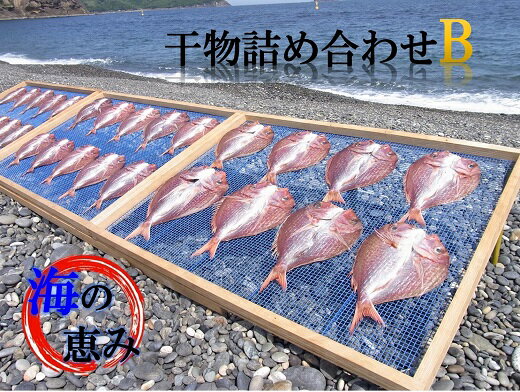 【ふるさと納税】熊野干物詰め合わせ 海の恵み B 鯛 サ...