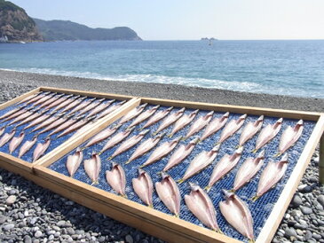 【ふるさと納税】海の恵み　干物詰め合わせA