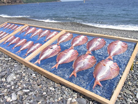 【ふるさと納税】定期便 3回 干物詰め合わせ 海の恵み C 鯛 アジ サンマ カマス カワハギ