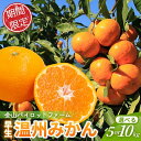 【ふるさと納税】 みかん 金山パイロットファーム 早生温州みかん 5kg 10kg 【選べる容量】 みかん ミカン 温州みかん 早生みかん 早生温州 フルーツ 果物 くだもの 柑橘 産地直送 数量限定 人気 国産 三重県 熊野市