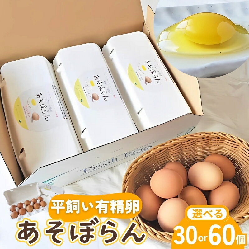 【ふるさと納税】 平飼い有精卵(あそぼらん) 30個 60個/こだわり卵 熊野...